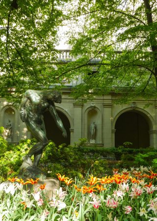 Beaux arts de Lyon-min